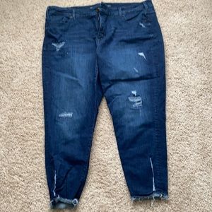 Lane Bryant skinny size 26